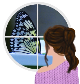 Butterfly Logo -01.jpg